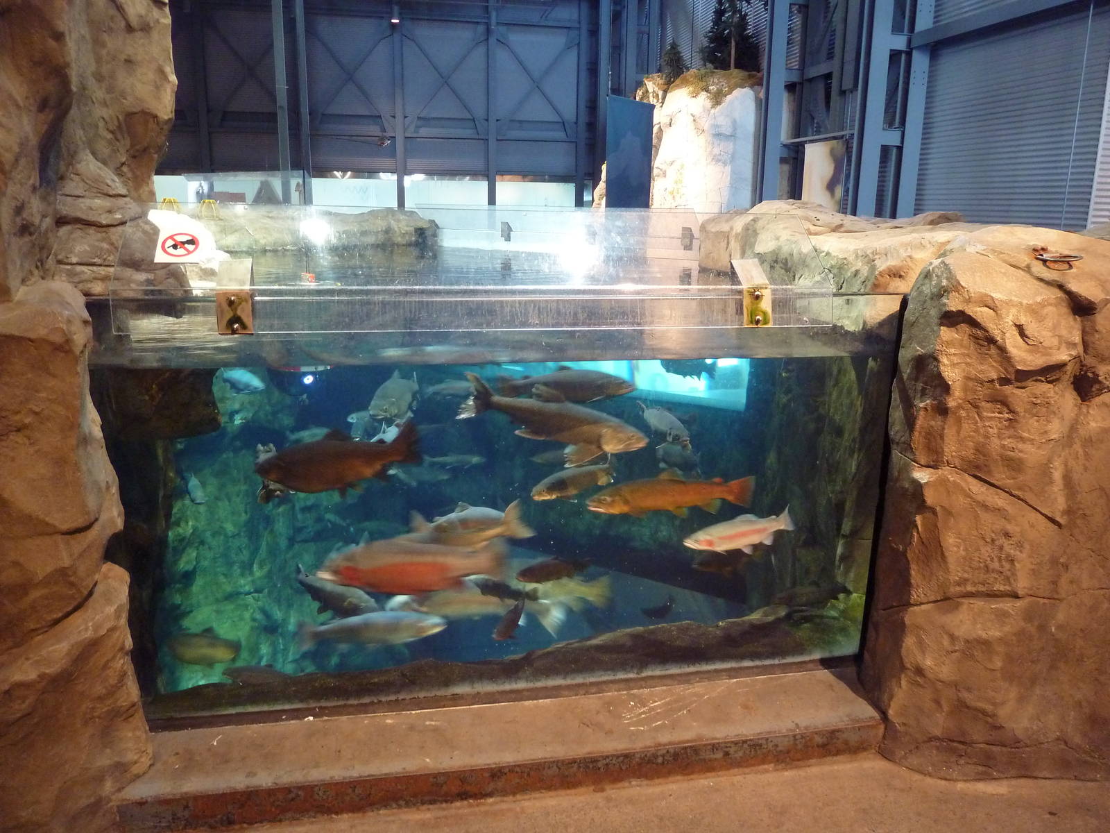 Isle Royale Exhibit - Upper View