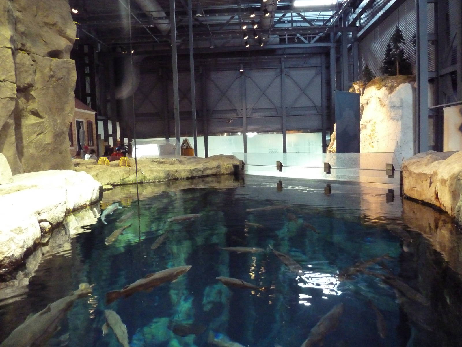 Isle Royale Exhibit - Upper View