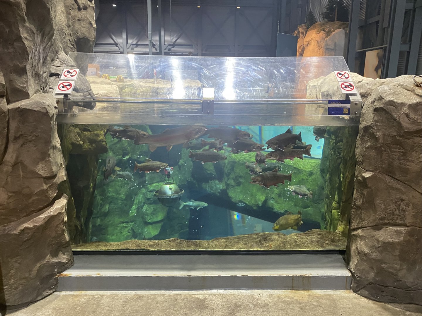 Isle Royale - Tank #1 From Above