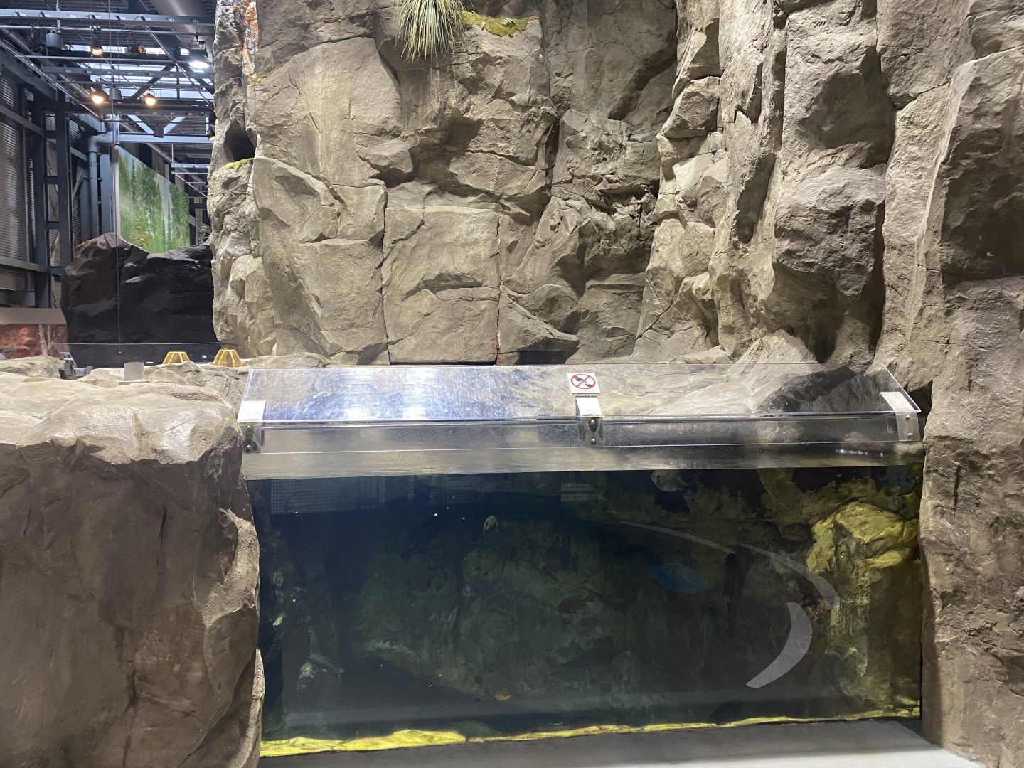 Isle Royale - Tank #2 From Above