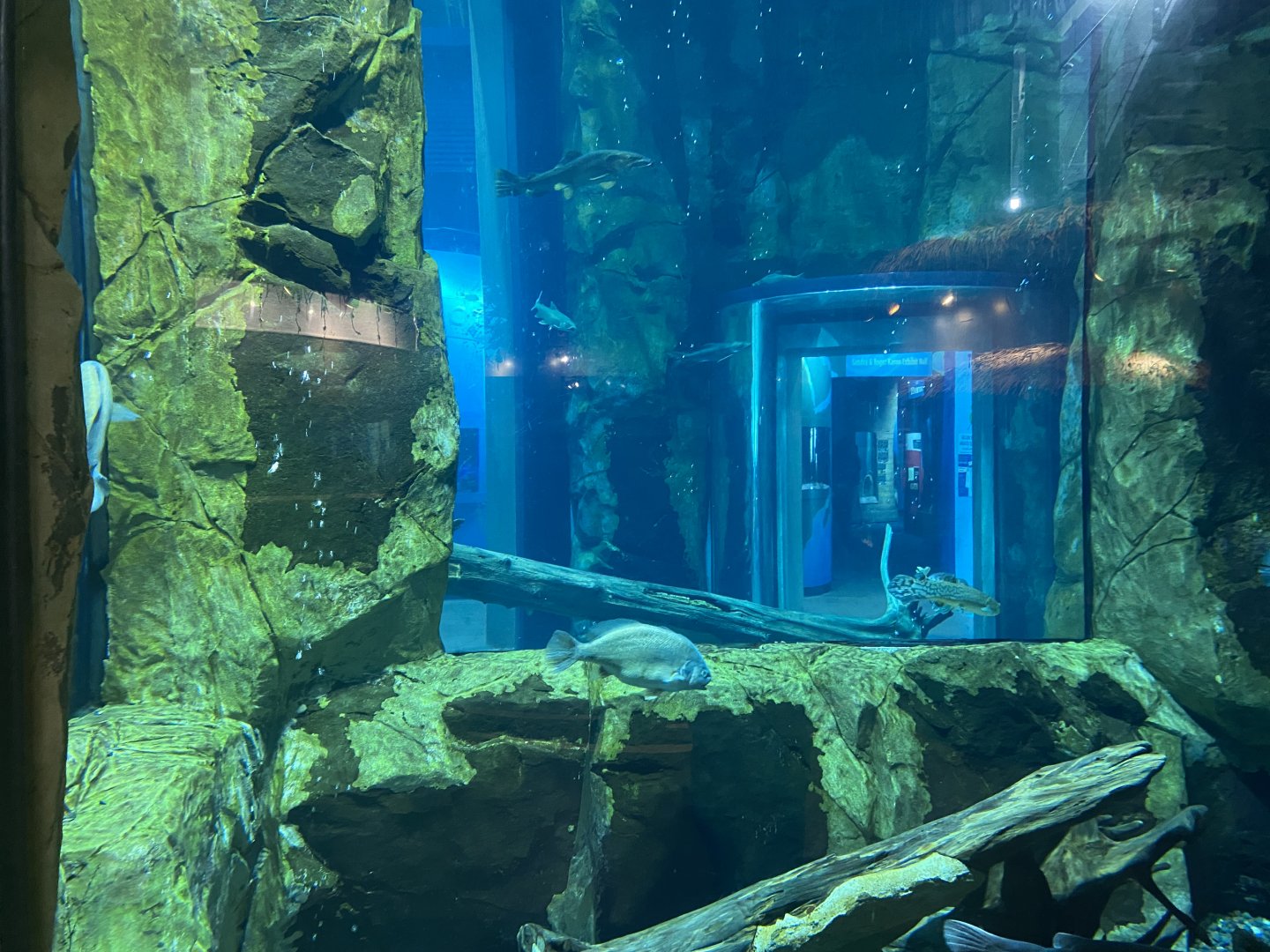 Isle Royale - Tank #3