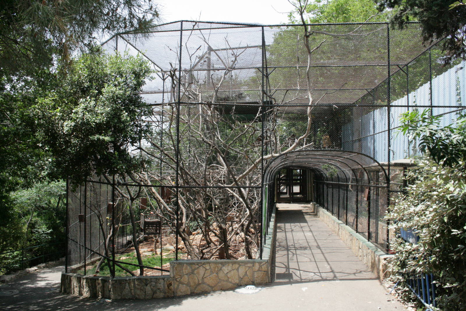 israeli bird aviary