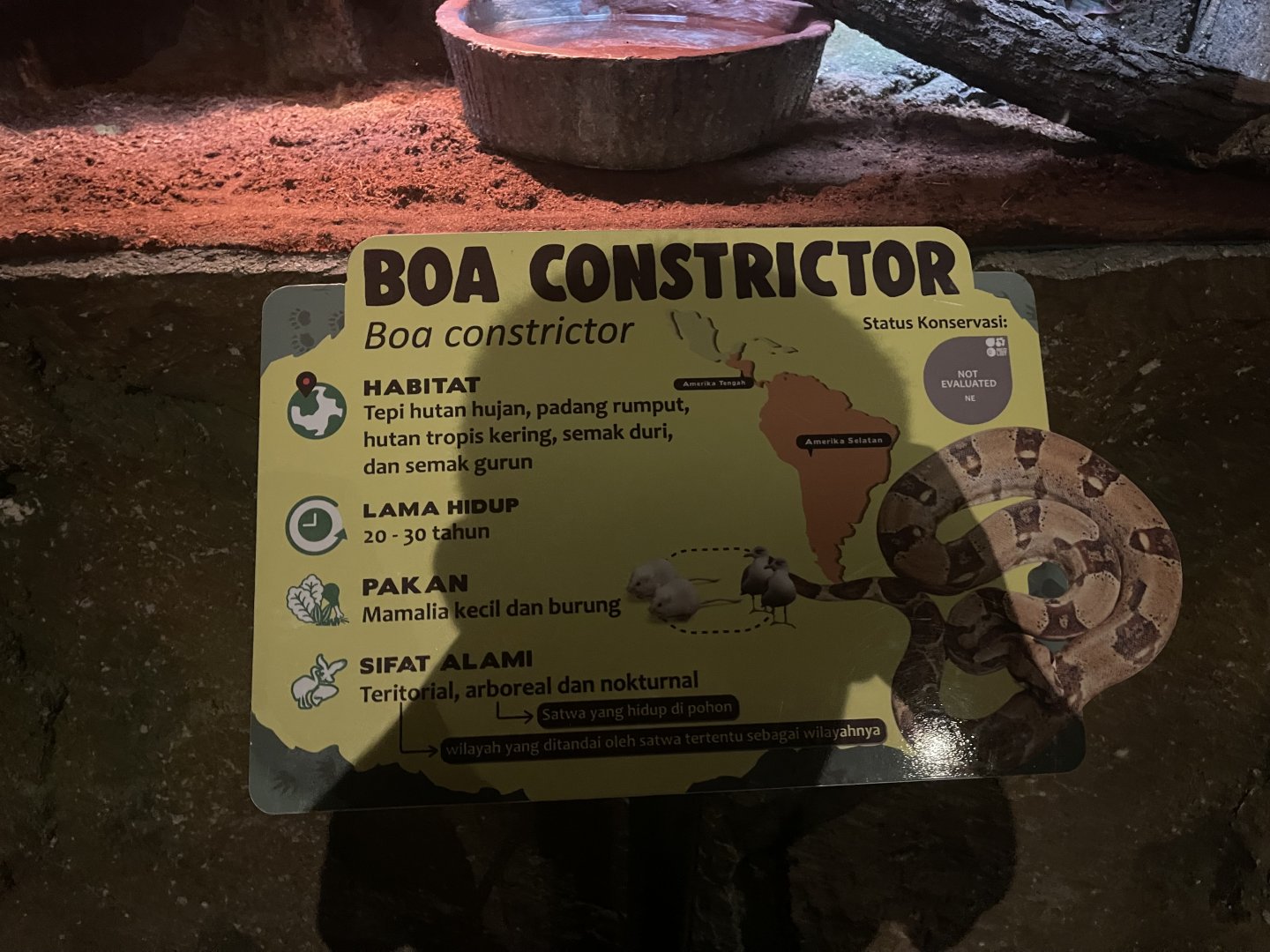 istana reptil - boa constrictor signage