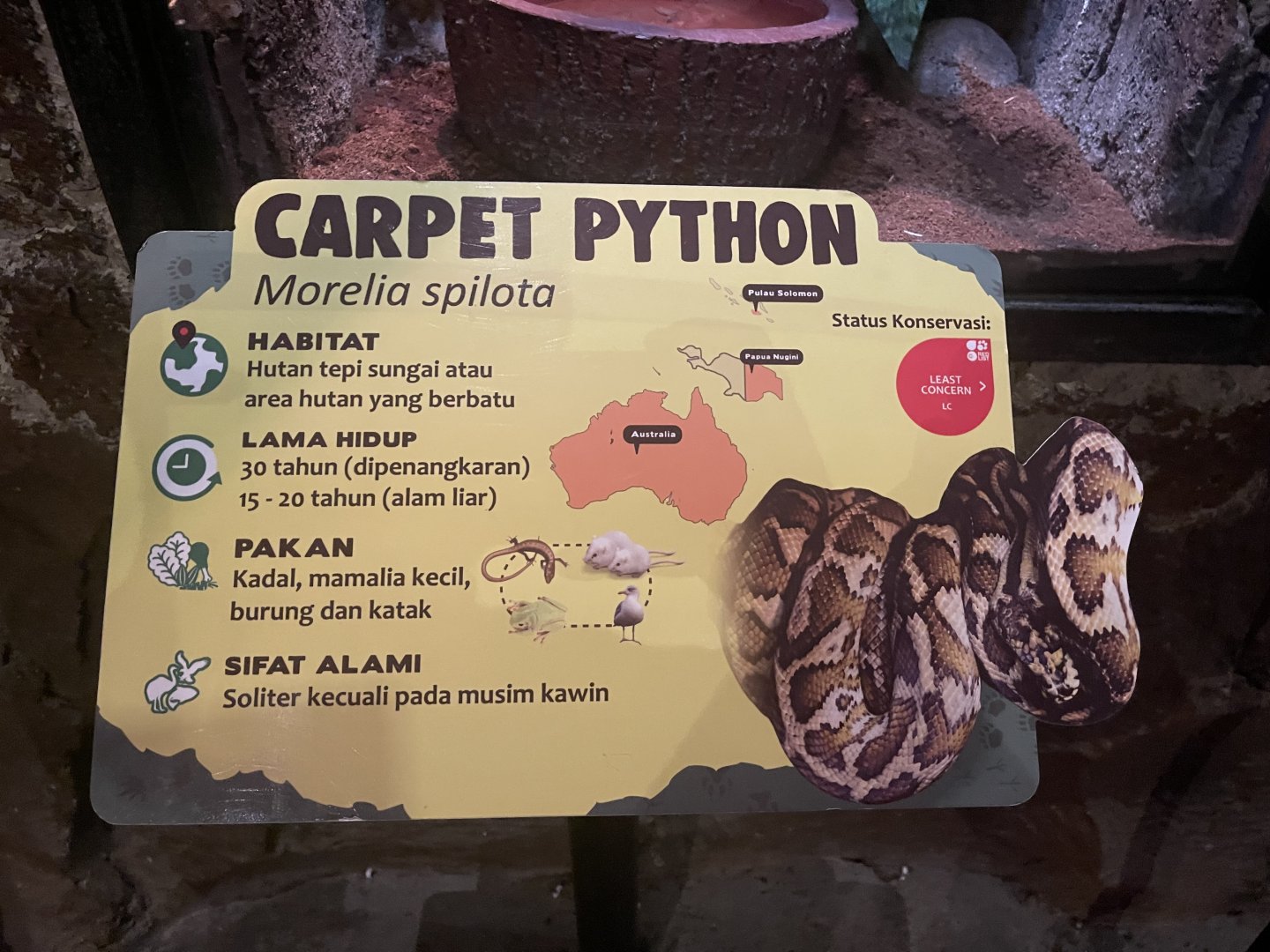 istana reptil - carpet phyton signage