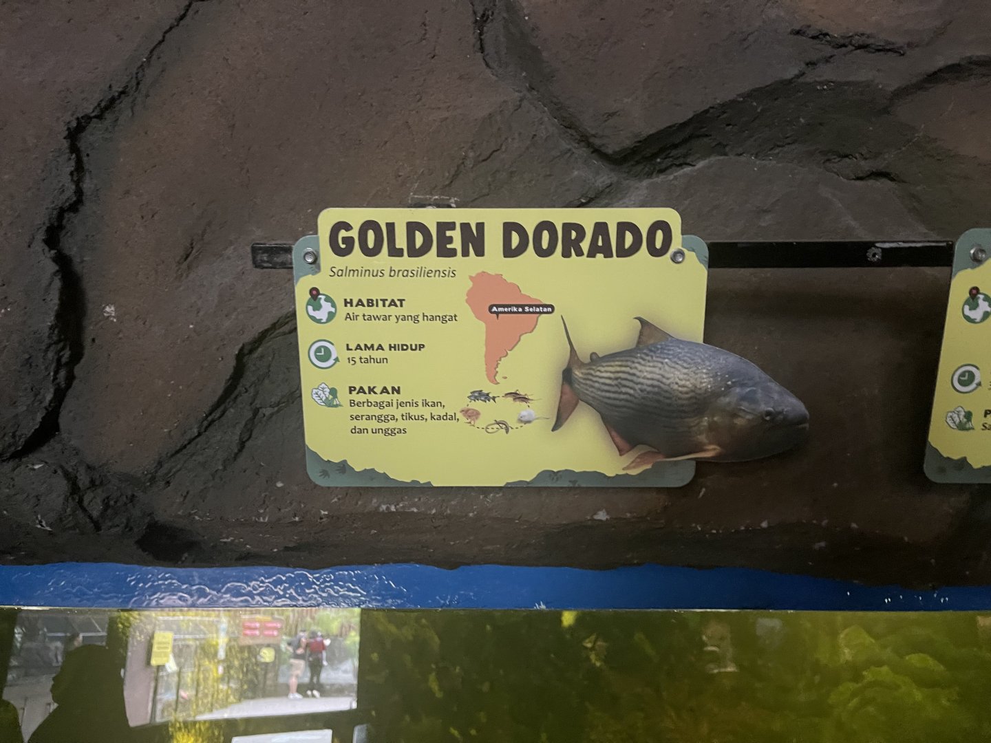 istana reptil - golden dorado signage