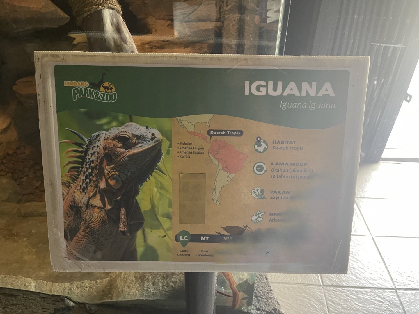 istana reptil - green iguana signage