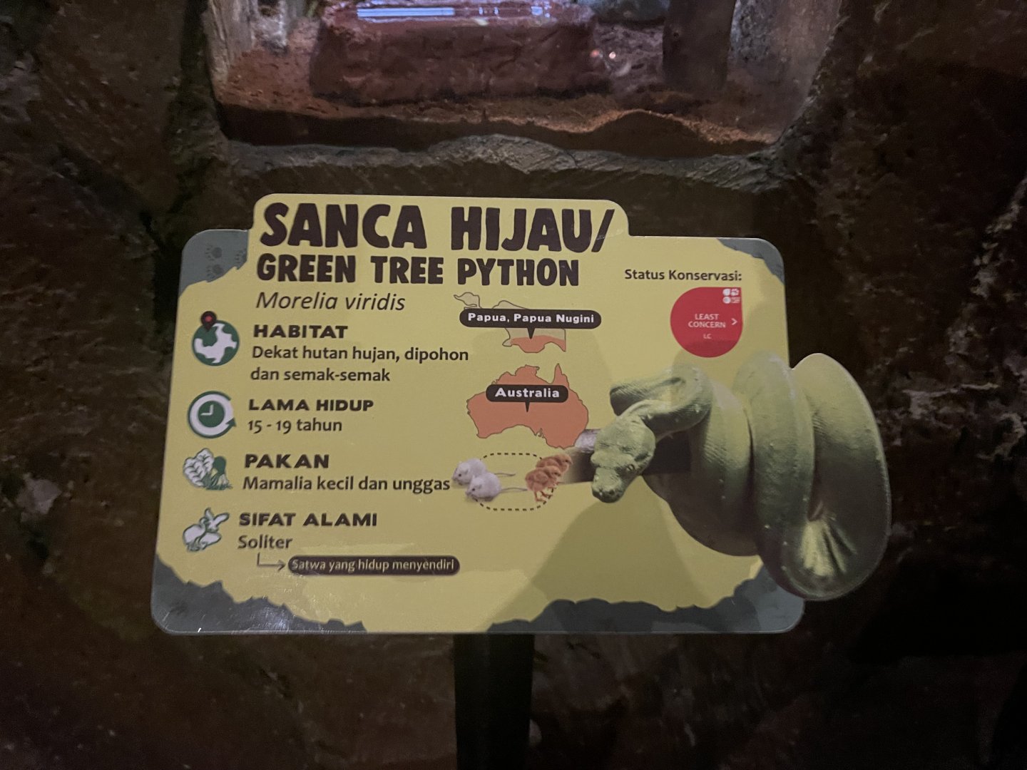 istana reptil - green tree phyton signage (inaccurate/mislabeled)