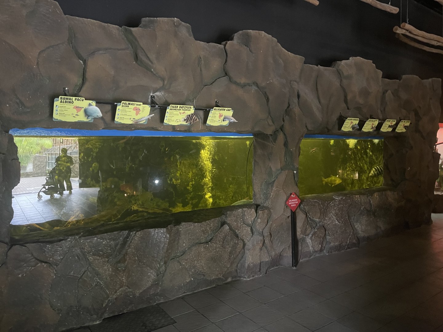 istana reptil - megatank