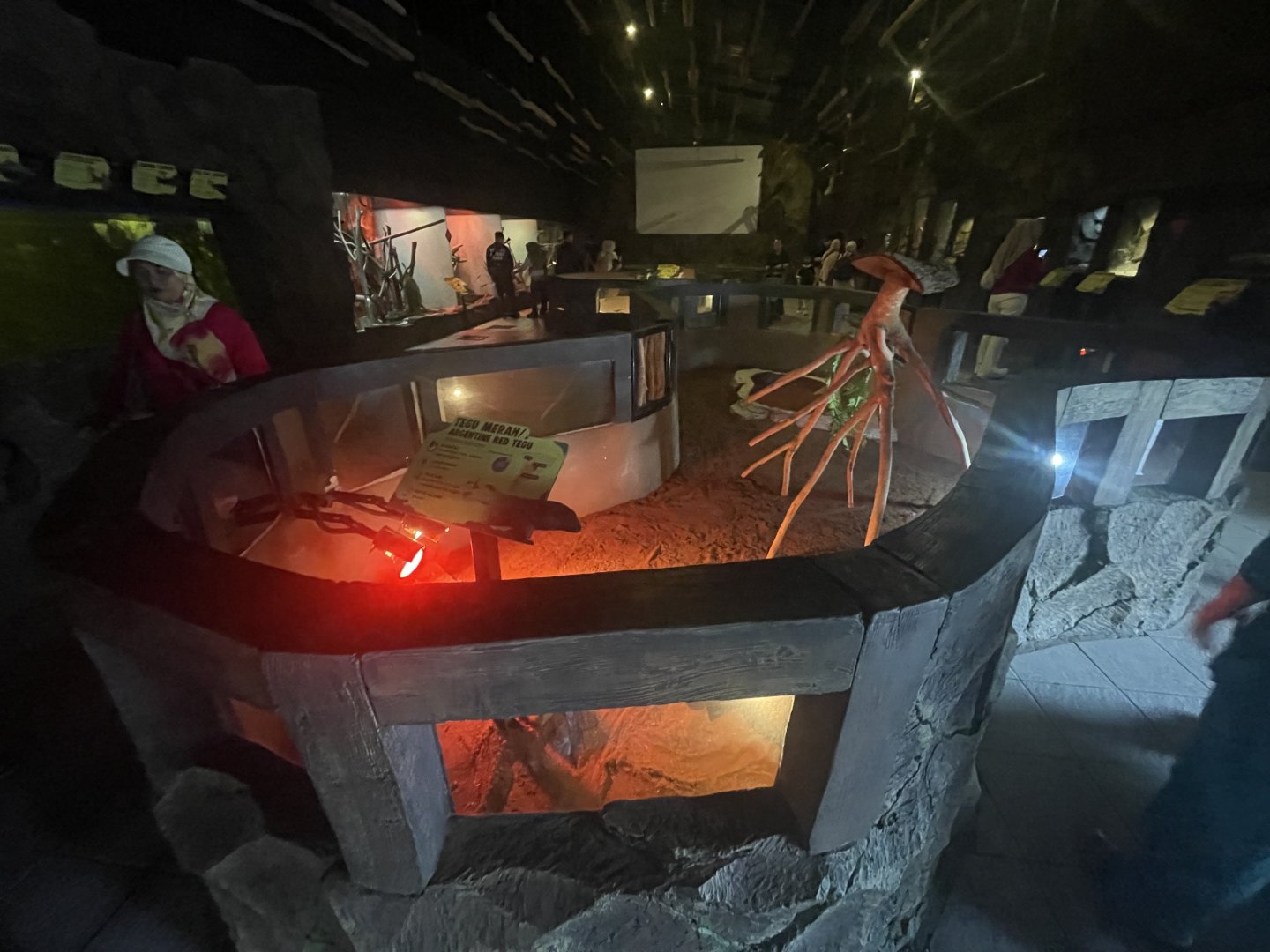 istana reptil - red tegu exhibit