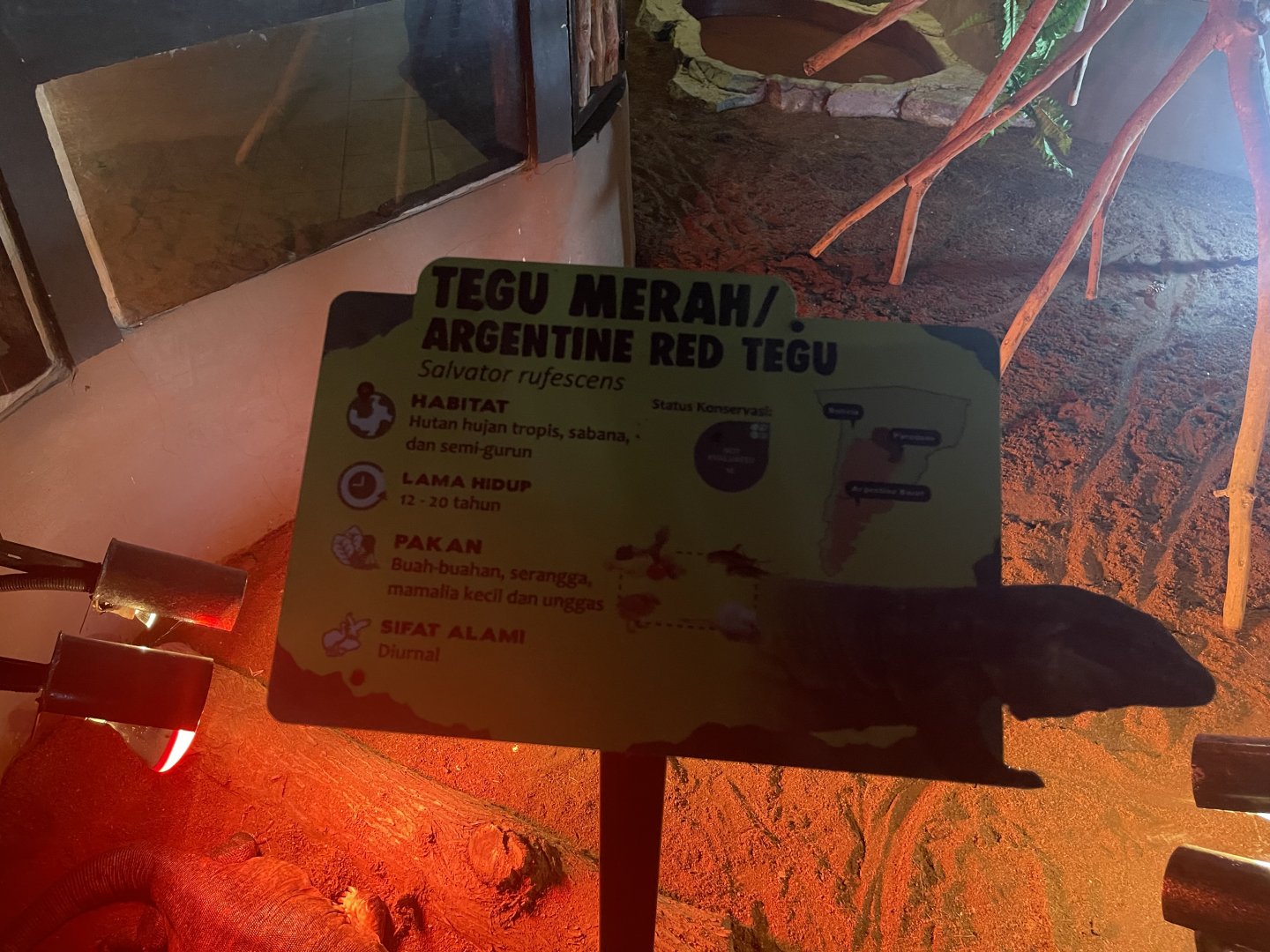 istana reptil - red tegu signage