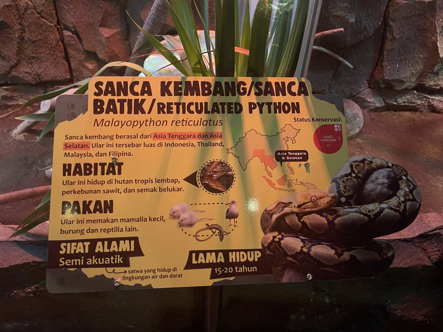 istana reptil - reticulated phyton signage