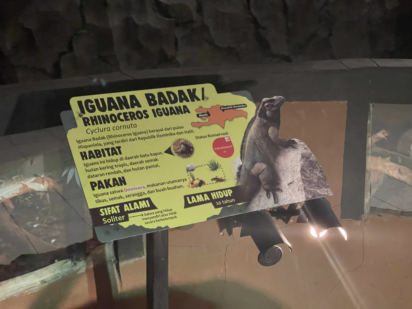 istana reptil - rhinoceros iguana signage
