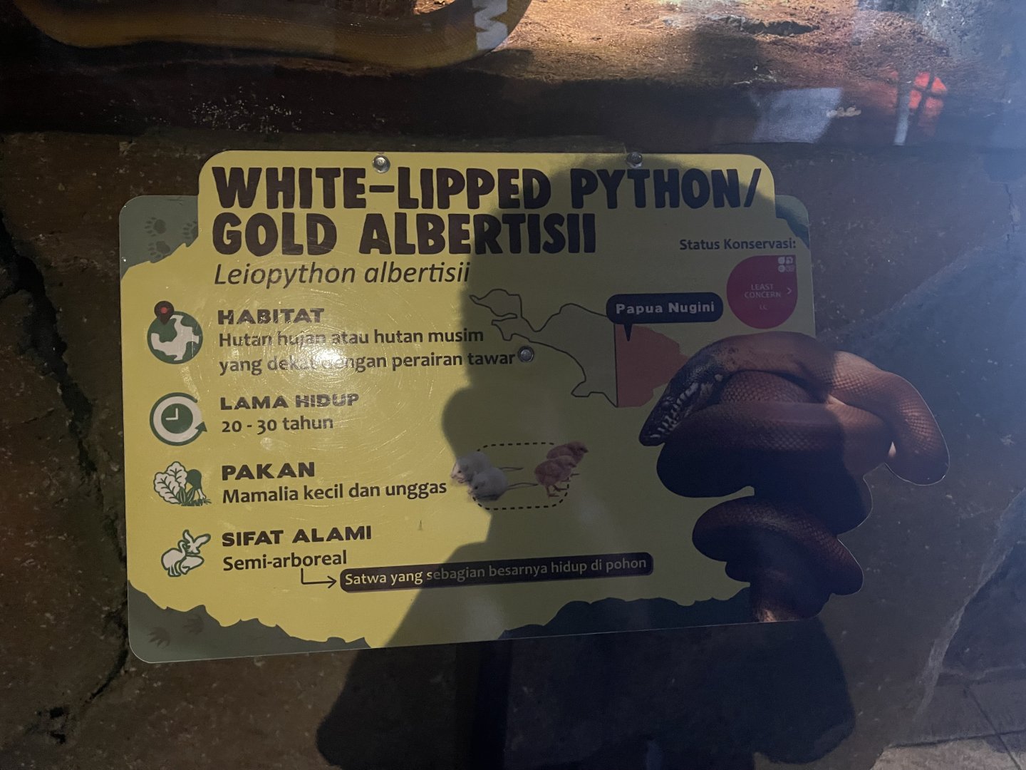 istana reptil - white-lipped phyton signage