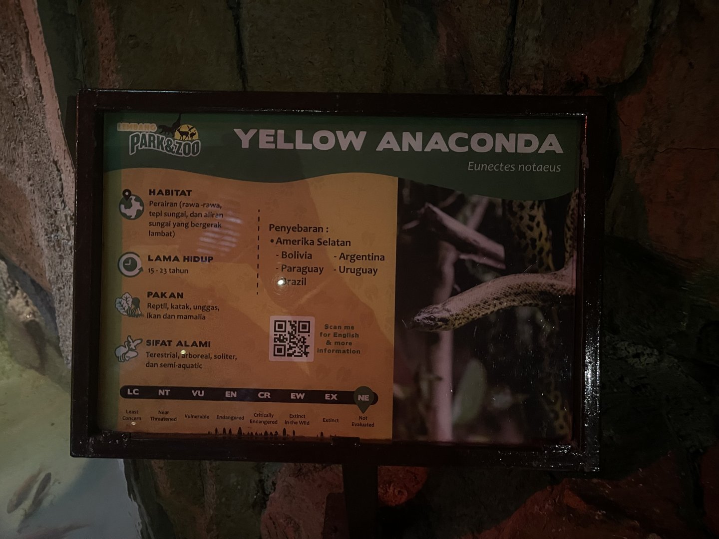 istana reptil - yellow anaconda signage