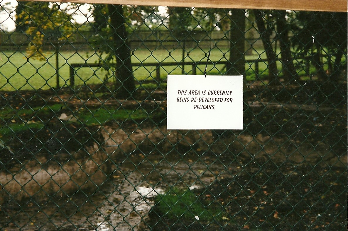 It ended up being for Brazilian Tapirs! 14th October 2000