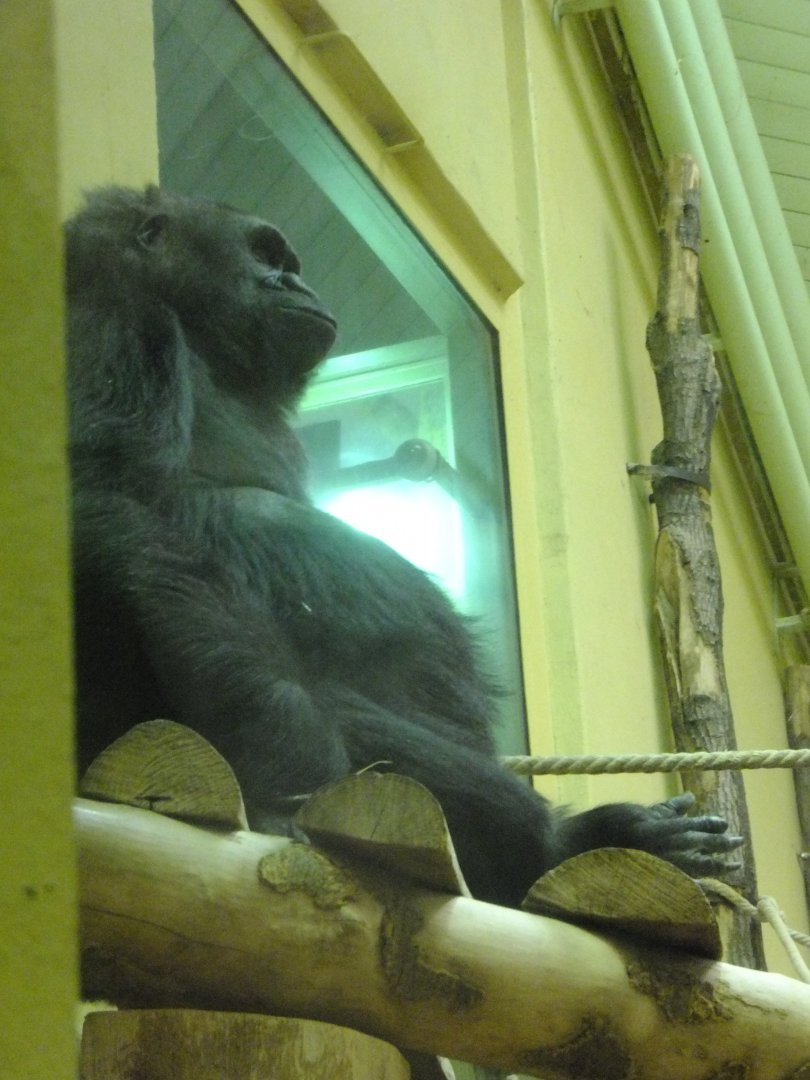 It looks like a mountain!