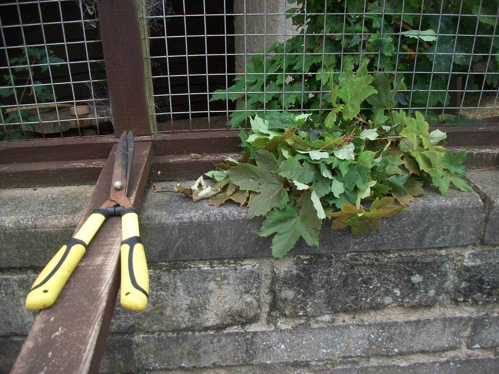 It was ten minutes before clocking off so there was time for an extra job,