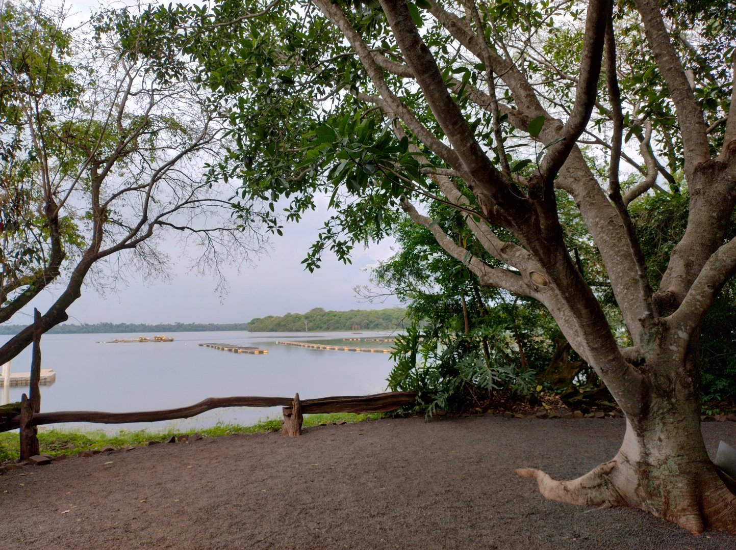 Itaipu lake view - RBBV (ZRRL)