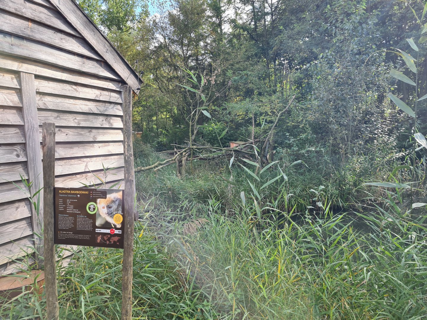 Itampalo - Bamboo lemur island