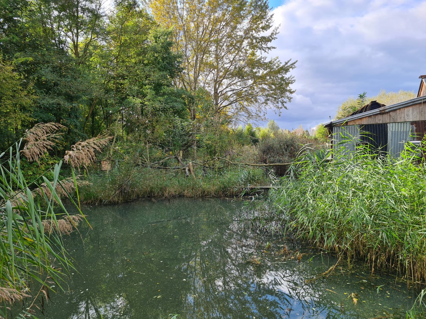 Itampalo - Bamboo lemur island