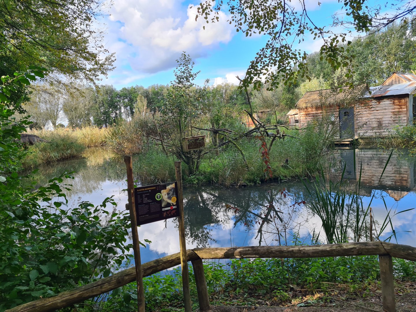 Itampalo - Bamboo lemur island