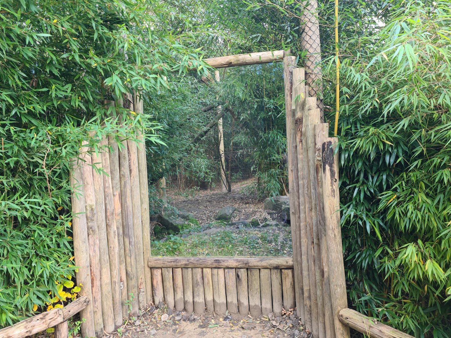 Itampalo - Fossa viewing point