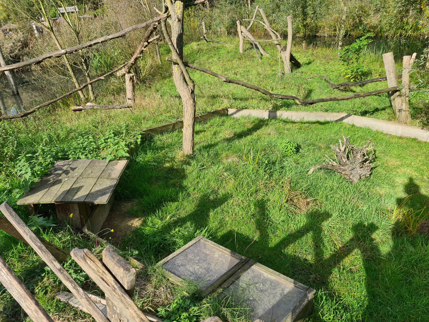 Itampalo - Hermann's tortoise enclosure