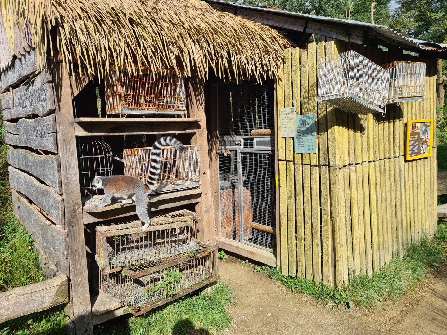 Itampalo - Poacher's market theming