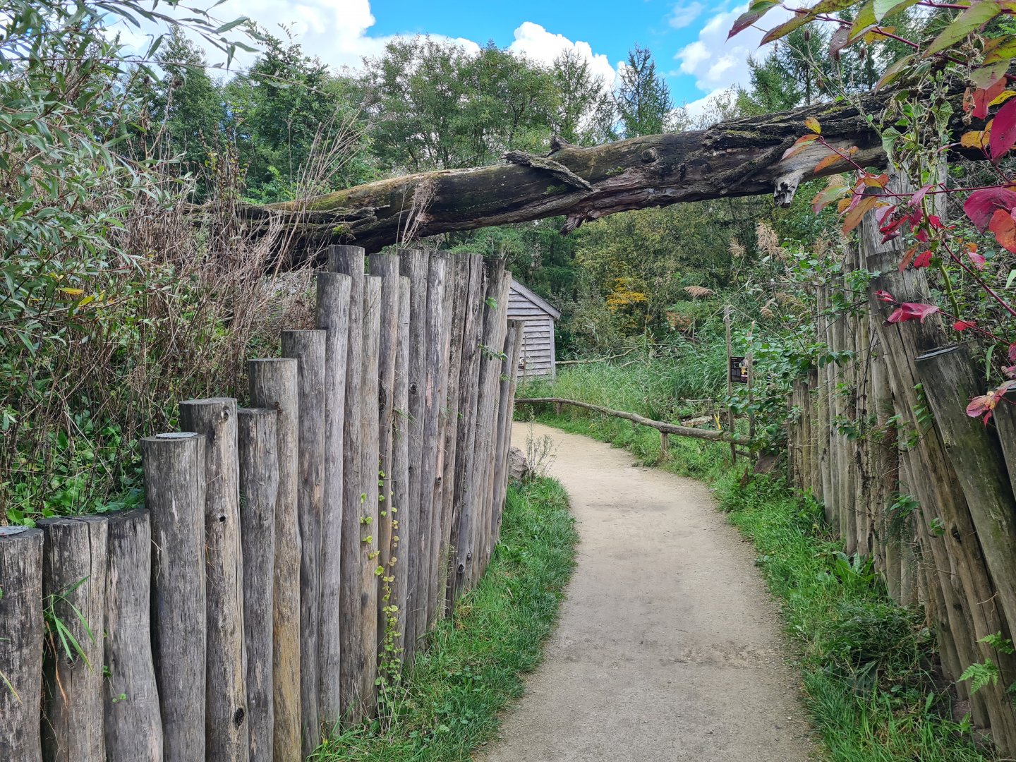 Itampalo - walkthrough area