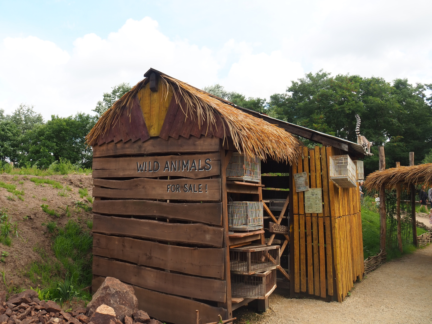 Itampolo village - Wild animal shop theming, 2019-08-11