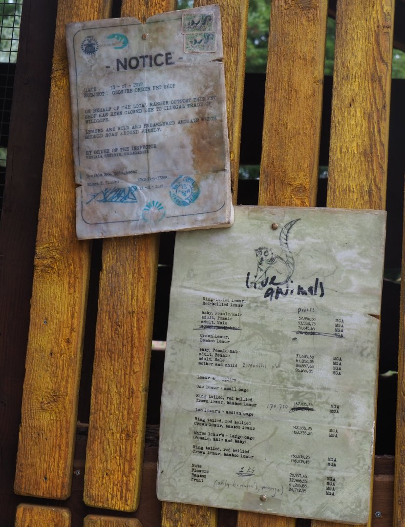 Itampolo village wild animal shop theming - Animal price list and government closure notice, 2019-08-11