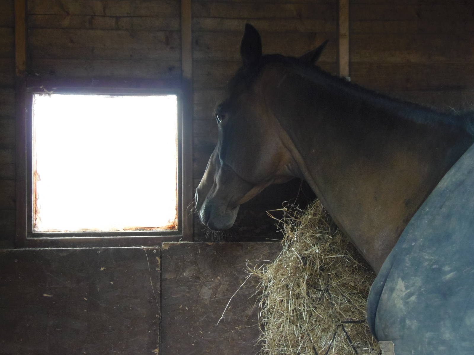 It's a big world out there