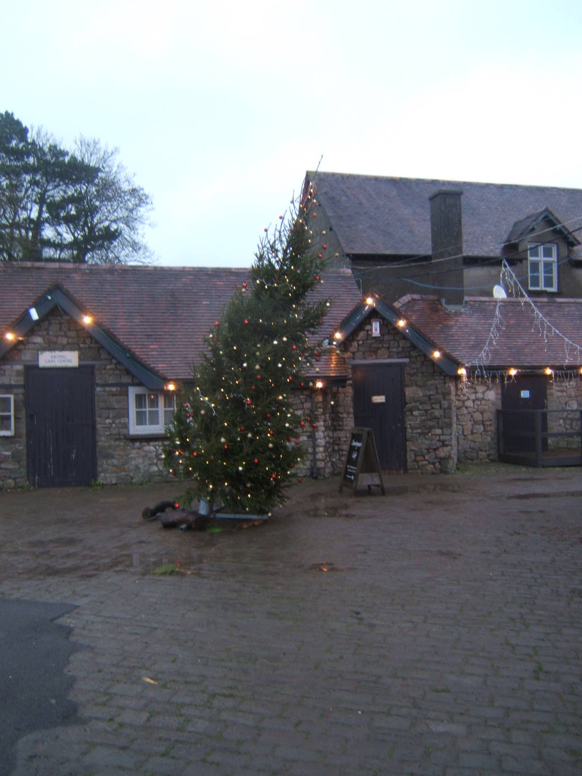 Its a bit windy for this tree!!!