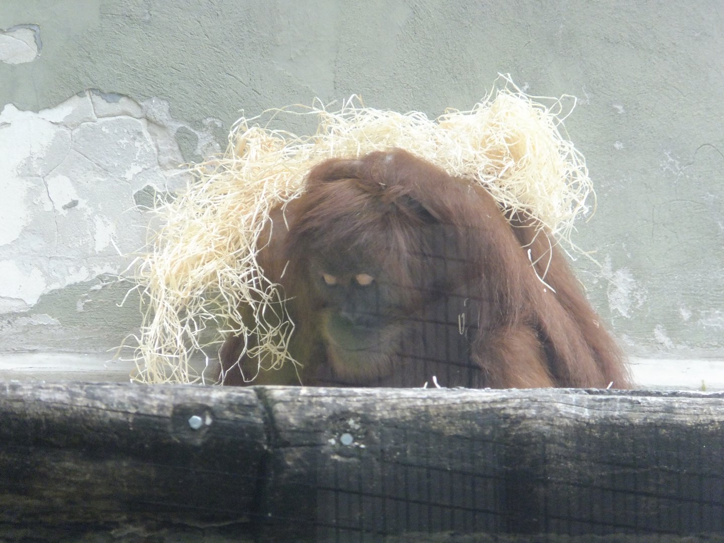 It's a long, hard life...