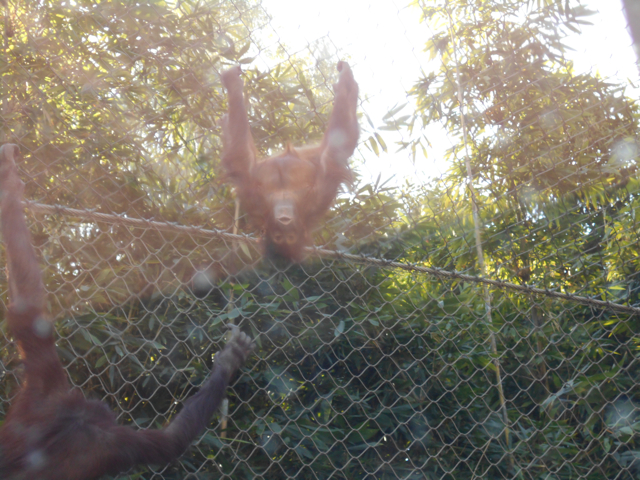 It's an upside down world.