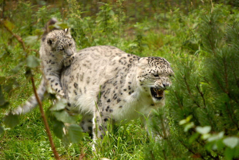 It's hard to be a parent