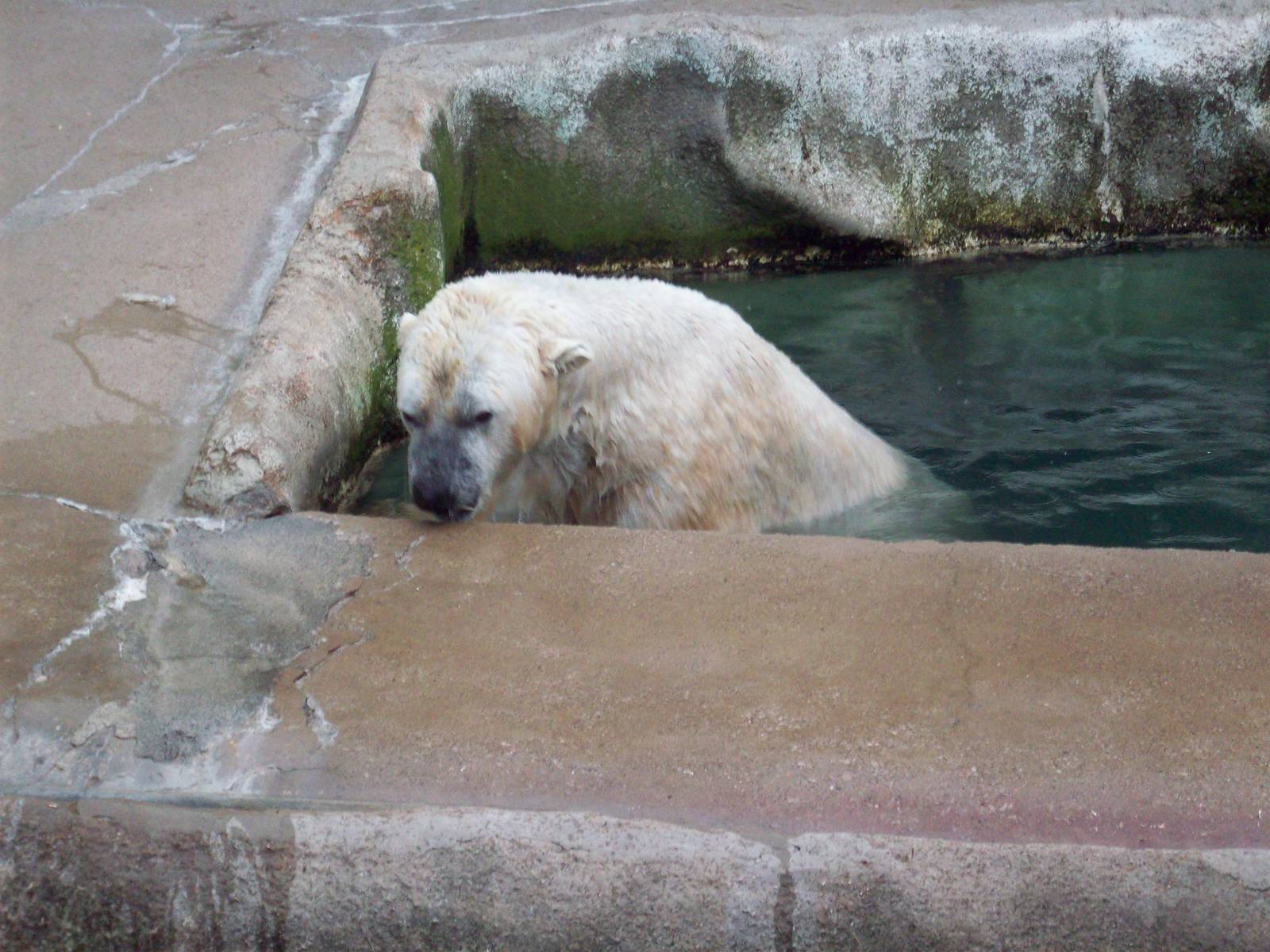It's raining now? Now you tell me!