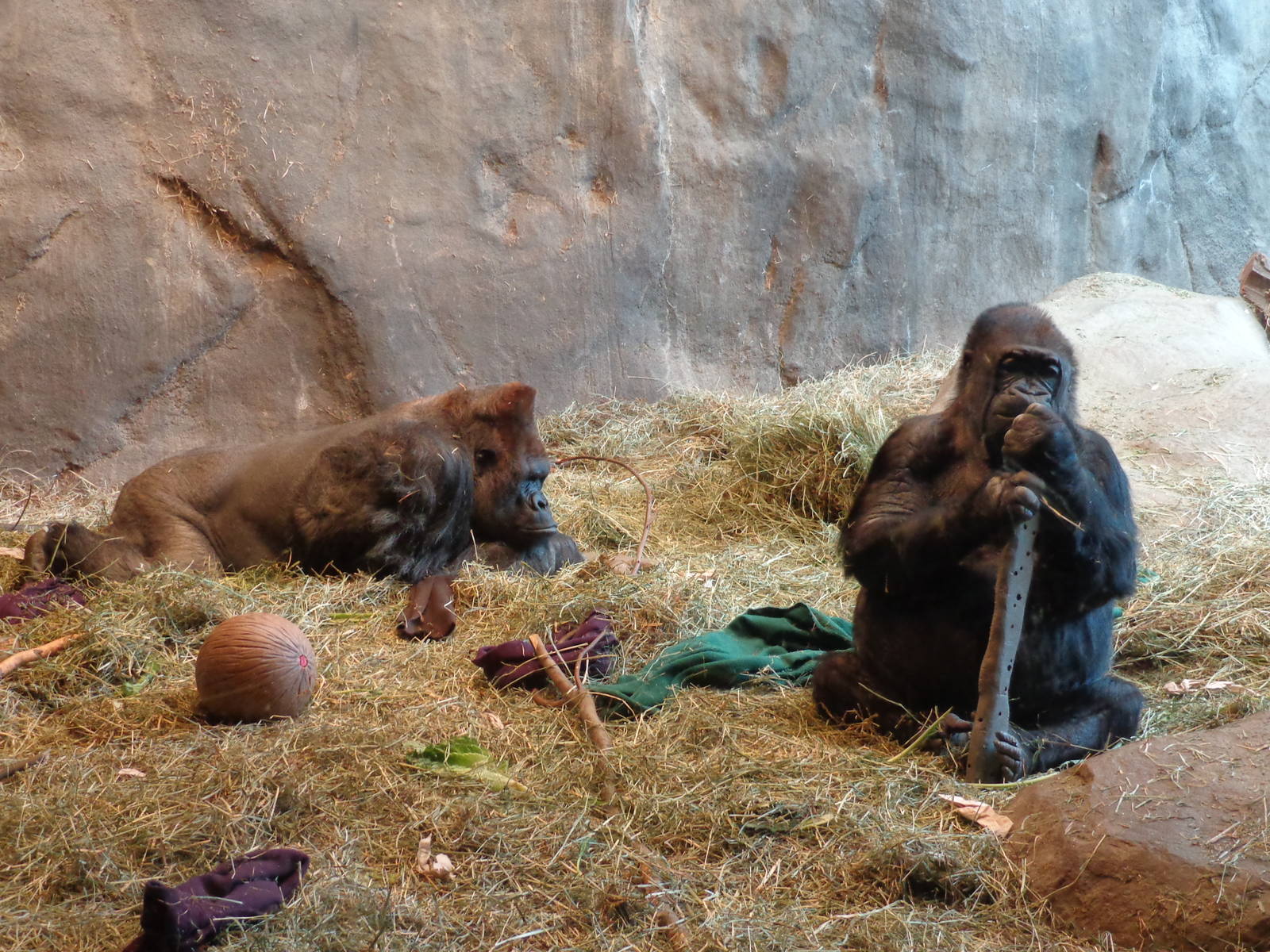 It's too early to get up!