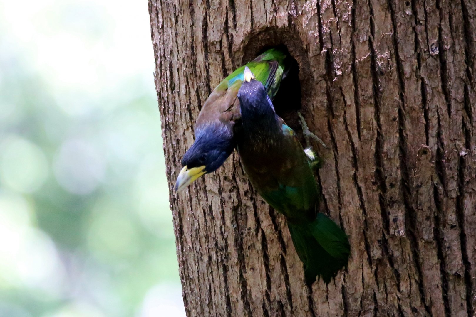 "It's your shift now!"