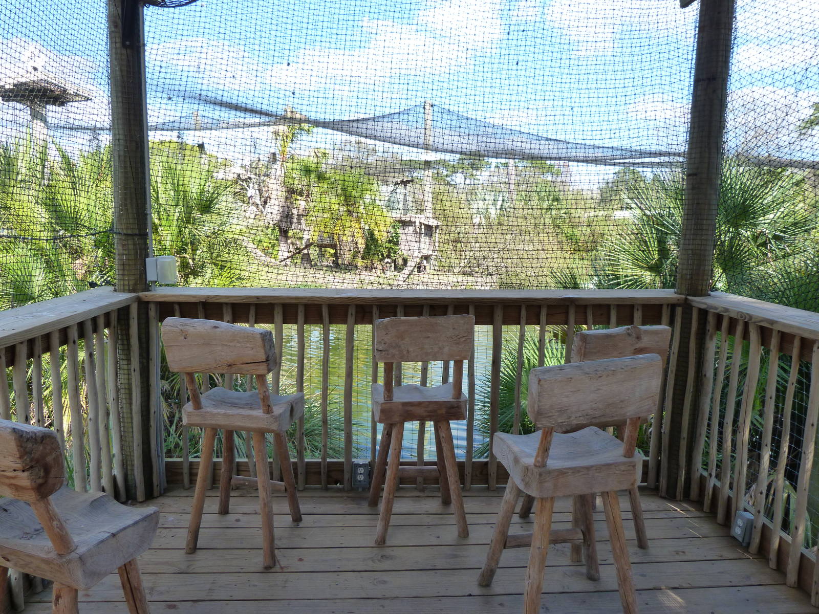 Ituri Forest - Aviary