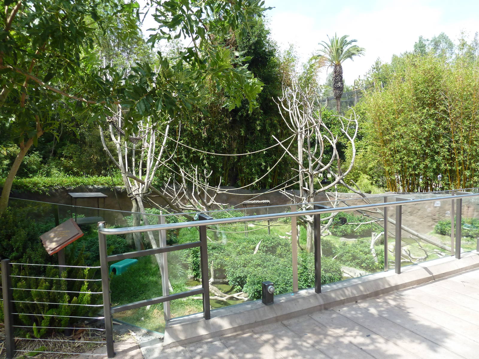 Ituri Forest Exhibit