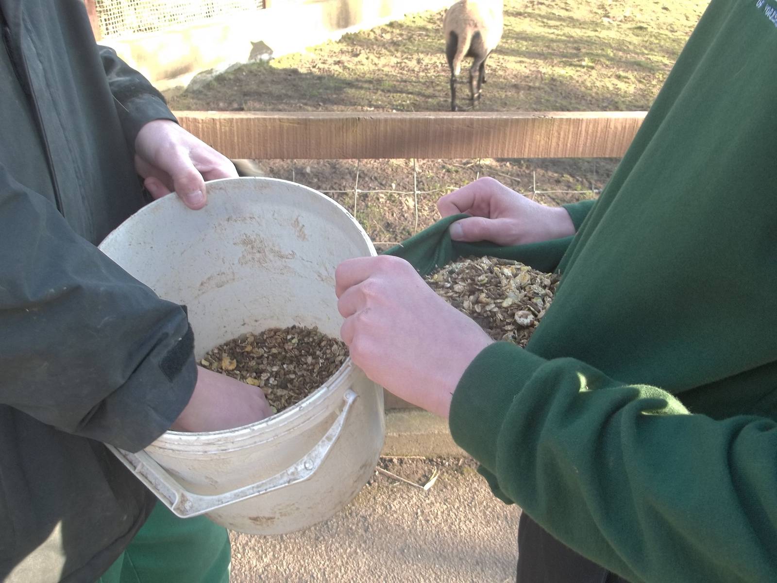 Itwould have been easier with two buckets! 14th March 2015