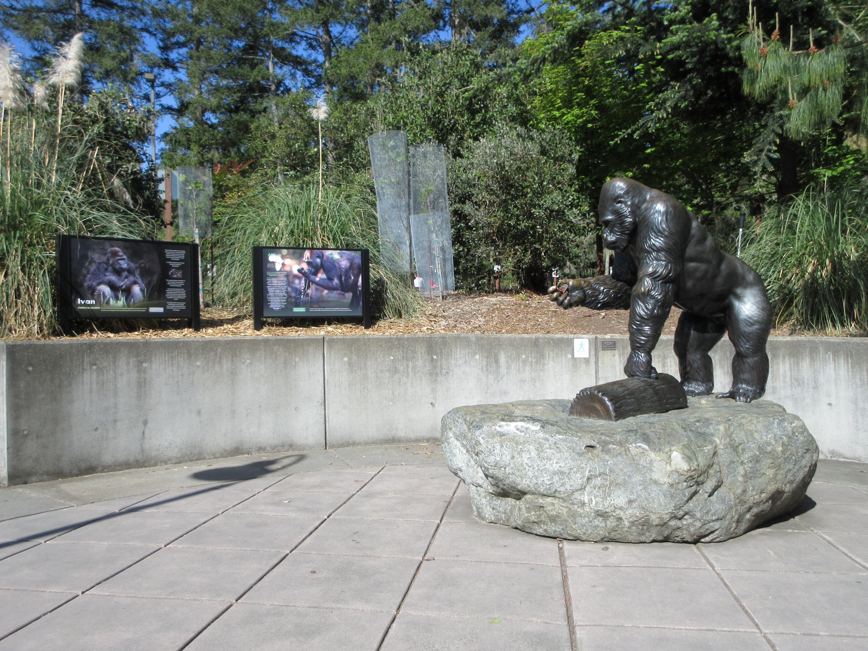 Ivan the Gorilla - Sculpture + Signs