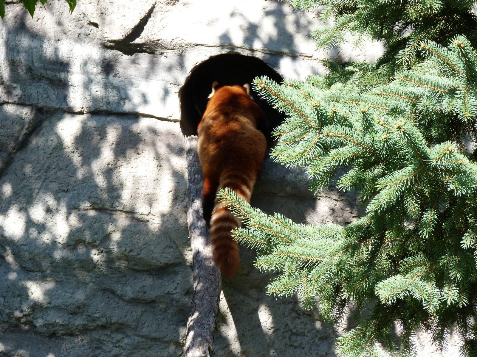 I've had enough of this goons watching me...