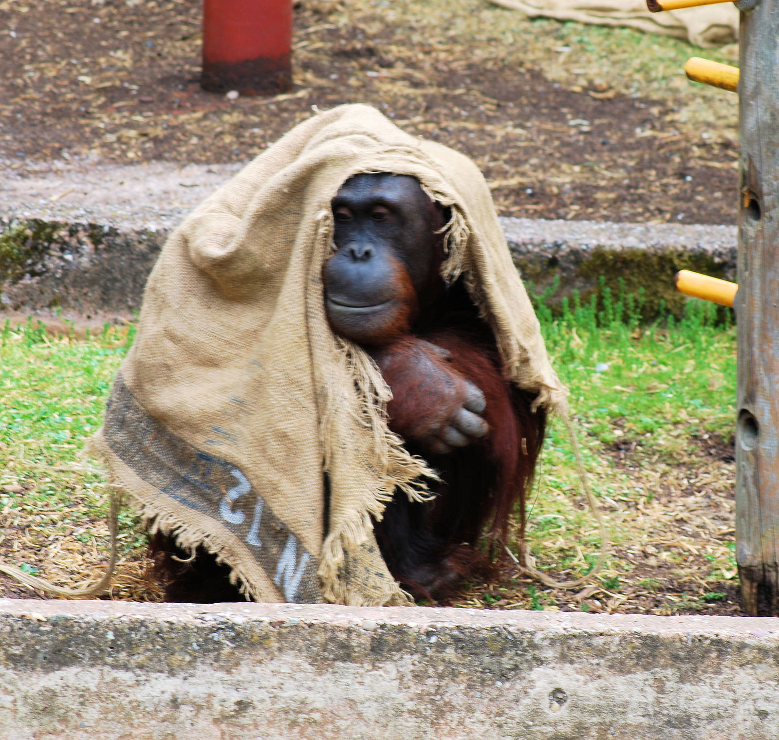 I've just been given the sack