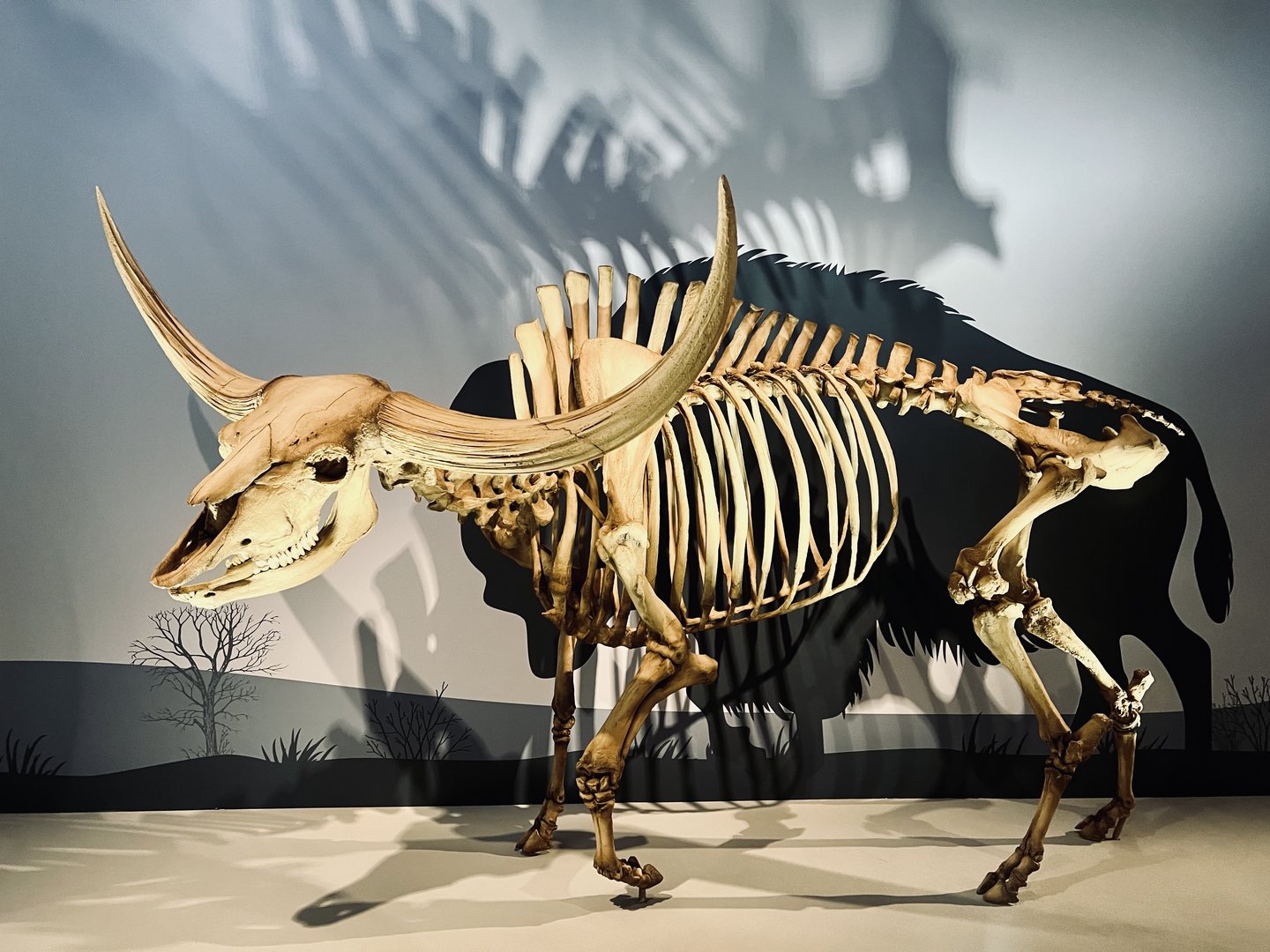 I’ve tried to vary these a bit from what’s been posted - but this is just so perfectly presented from this angle