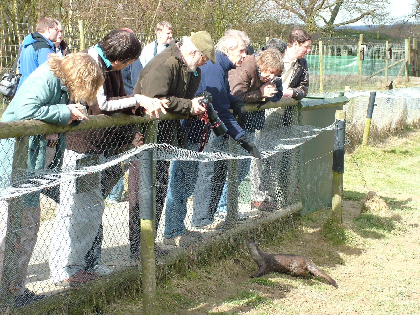 IZES UK Zoo Collectors Fair 2010, British Wildlife Centre