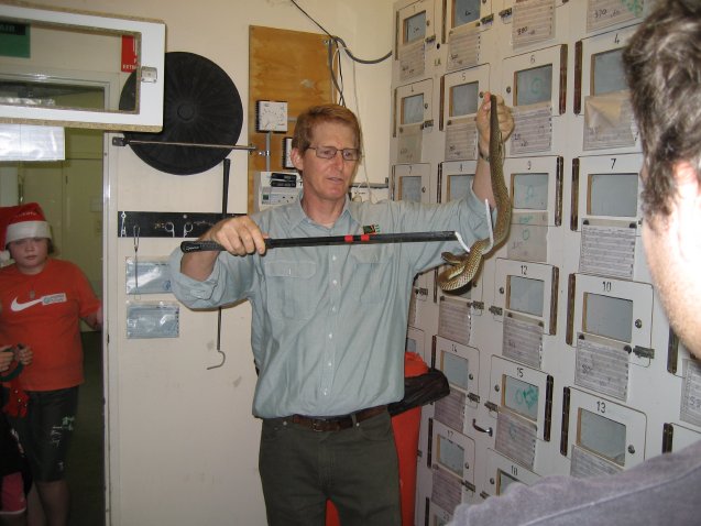 J. Weigel and P. weigeli