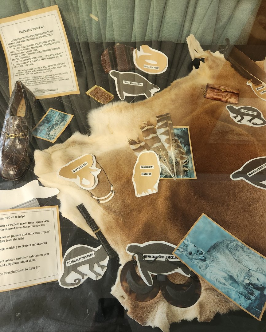 JA McFaul Environmental Center - Animal exploitation exhibit