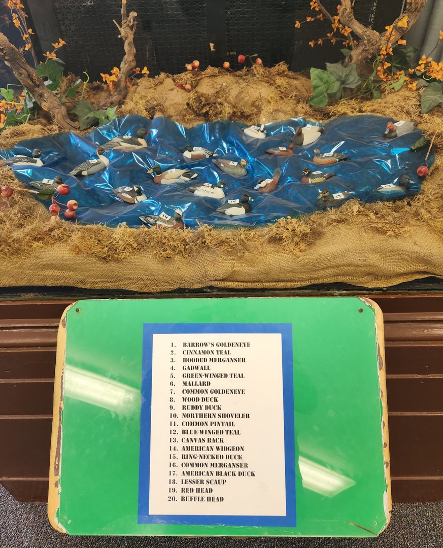 JA McFaul Environmental Center - Duck carvings w/ species list